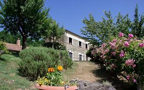 La Rosa Nel Bicchiere